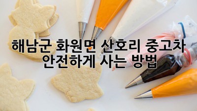 해남군 화원면 산호리 중고차 안전하게 사는 방법